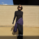 裙子女冬 百搭长袖 SECRET DINDI南松自发热高领打底黑色连衣裙修身