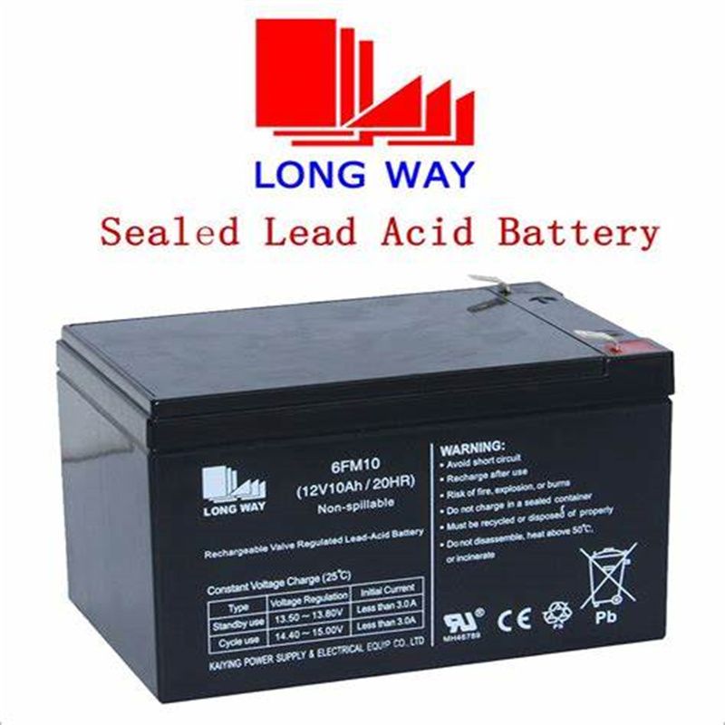 LONG WAY蓄电池 6FM10 12V10AH/20HR 免维护电池