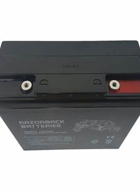 RAZORBACK BATTERIES蓄电池 RBHP12V-20AH 免维护铅酸电池