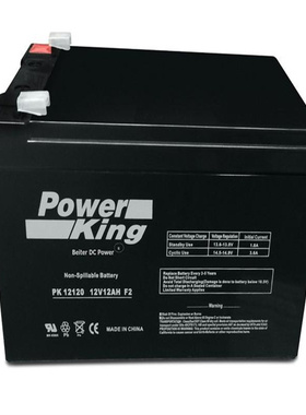 POWER KING蓄电池 PK12120 12V12AH F2 免维护铅酸电池
