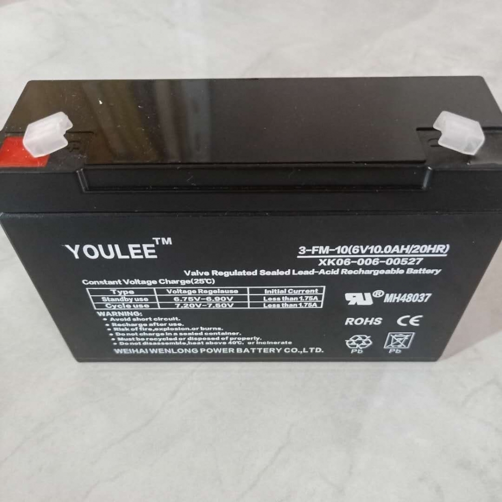 有利蓄电池3-FM-10A6V10AH玩