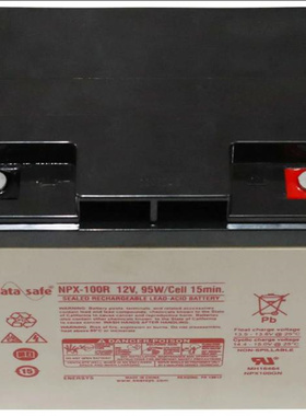 datasafe 蓄电池 NPX-100R 12V 95W/cell/15min 免维护铅酸电池