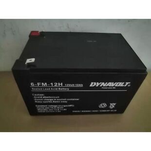 海利CP-60增氧气泵原厂配套DYNAVOLT蓄电池电瓶6-FM-12H 12V12AH