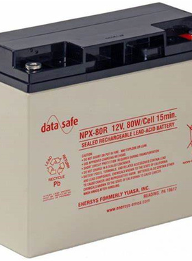 data safe蓄电池 NPX-80R 12V 80W/cell 15min 免维护铅酸电池