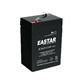 EASTAR 20HR免维护可充电铅酸蓄电池 EA6V4.5AH