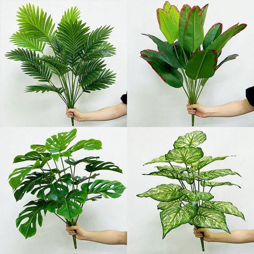 单束户外仿真植物假树叶大龟背