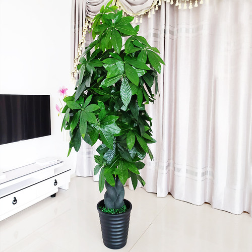 仿真绿植发财树假植物