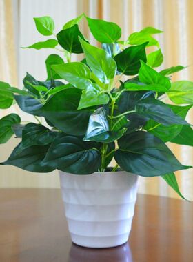 仿真绿萝盆栽室内仿真植物塑料小盆栽装饰绿植仿真花草假植物绿萝