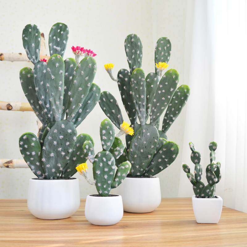 仿真仙人掌仙人掌多肉植物田园风