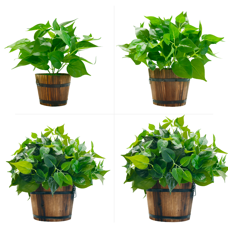 室内外木桶盆栽小绿萝仿真植物