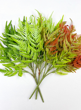 高仿真绿色蕨类植物肾蕨大叶蕨草热带雨林软胶绿植墙面景观造景