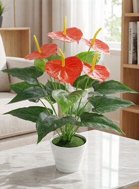 仿真绿色植物落地盆栽景摆设件绿植红掌假花草塑料花客厅室内装饰