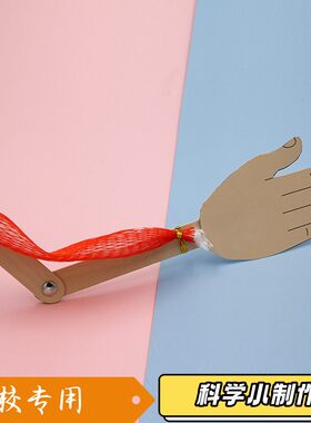 骨骼肌运动简易模型手工小制作 生物科学课件 中学生物理科学S07