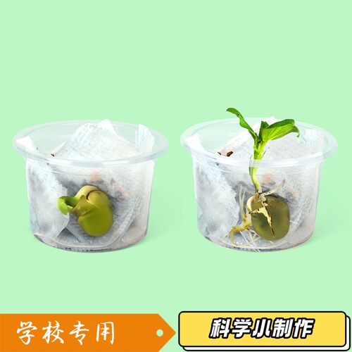 手提生态瓶微景观鱼缸造景六年级下册科学生态瓶生态鱼缸生态S19