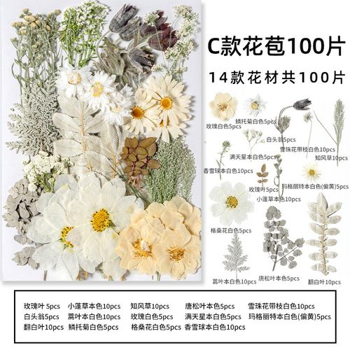 干花包真花滴胶手机壳手工团扇贺卡书签押花材料玫瑰花树叶大XZ82