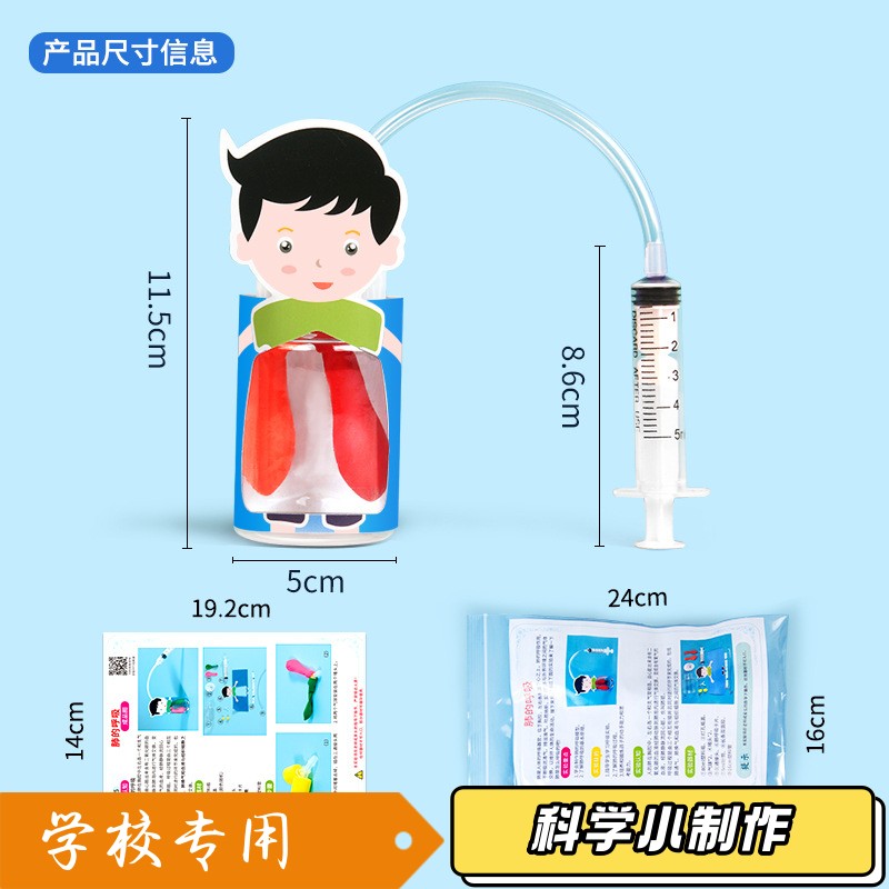 幼儿园膈肌运动模型教具简易模拟人体肺呼吸运动学生手工科学sd44