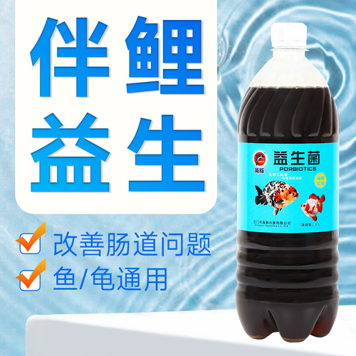 锦鲤金鱼伴食乳酸菌助消化