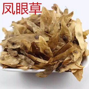 凤眼草 臭椿子春铃子凤眼子椿荚臭树铃铛樗树子臭椿树子真货