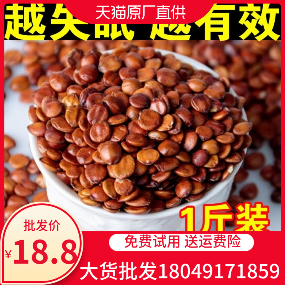 中药材酸枣仁睡眠茶失眠安神助眠茶酸枣仁野生酸枣粉500g克包邮SN