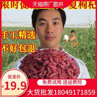 1斤正宗宁夏特级免洗枸杞子纯天然杓杞子包邮构杞自然红构枸500gS