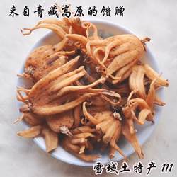 【真野生】手掌参西藏佛手参手儿参特产藏旺拉藏三七兰掌参阴阳参