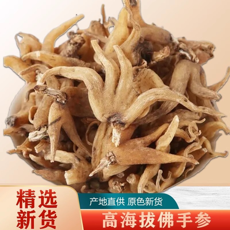 【真野生】西藏手掌参西藏佛手参 掌参 手参 手儿参 阴阳草藏三七