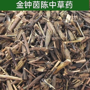 材金钟茵陈 北刘寄奴铃茵陈 黄花茵陈阴行草真货