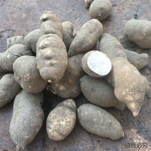 新货野三叶青干品250g金线吊葫芦三叶青三叶清干货切片泡茶泡水