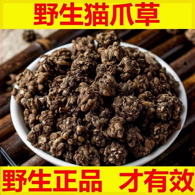 【真野生】猫爪草/小毛茛/三散草毛抓草三散草猫抓草上等精选爪草