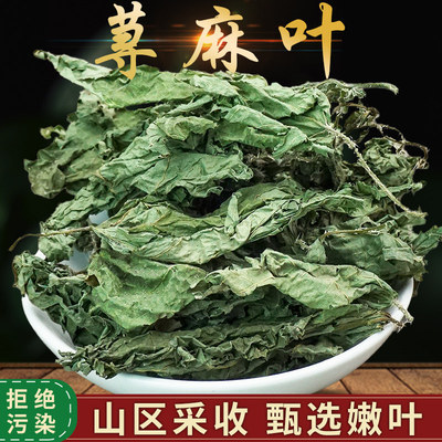 热卖野山荨麻叶500g荨麻叶茶火麻叶荨麻小蛇麻草咬人蝎子草真真货