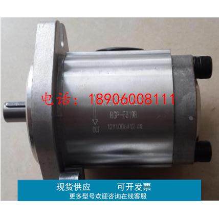 台湾锐力REXPOWER齿轮泵RGP-F202R-k3/RGP-F325R-K4-C-L43现货