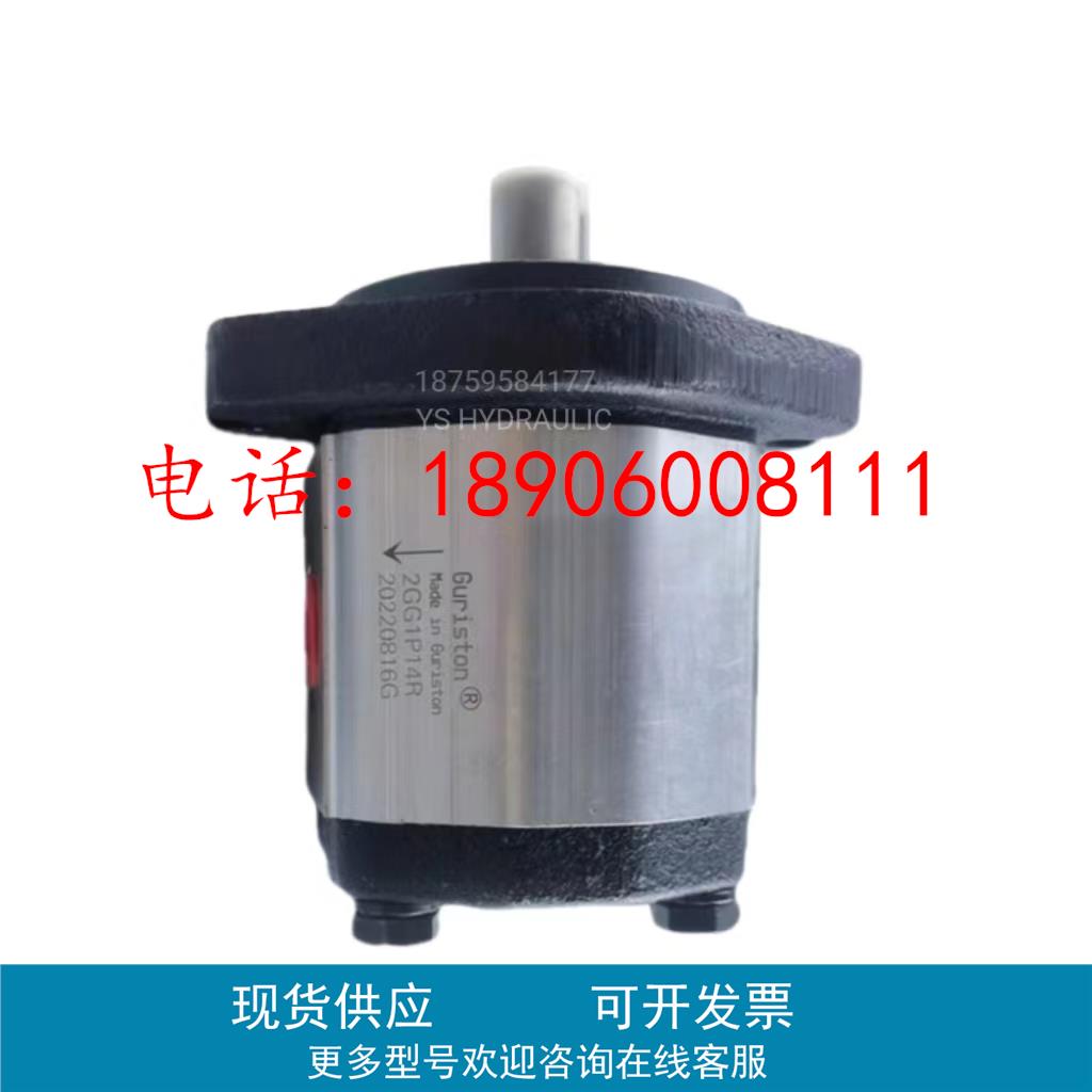 台湾Guriston齿轮油泵2GG1P08R/8R/11R/17R/23R/2GG1B33R油泵配件