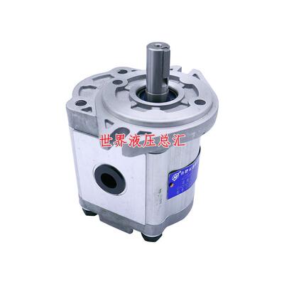 HCHC合肥长源小型齿轮泵电动泵CBW-F201.5/F202/F202.5/F203/F206