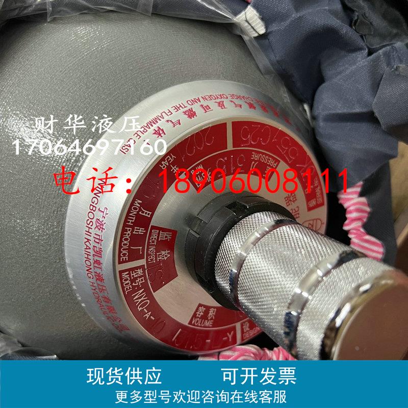 NXQ-0.63L/31.5MPA液压储蓄器NXQA-1L 1.6 2.5 4 6.3 10 16 20-LY