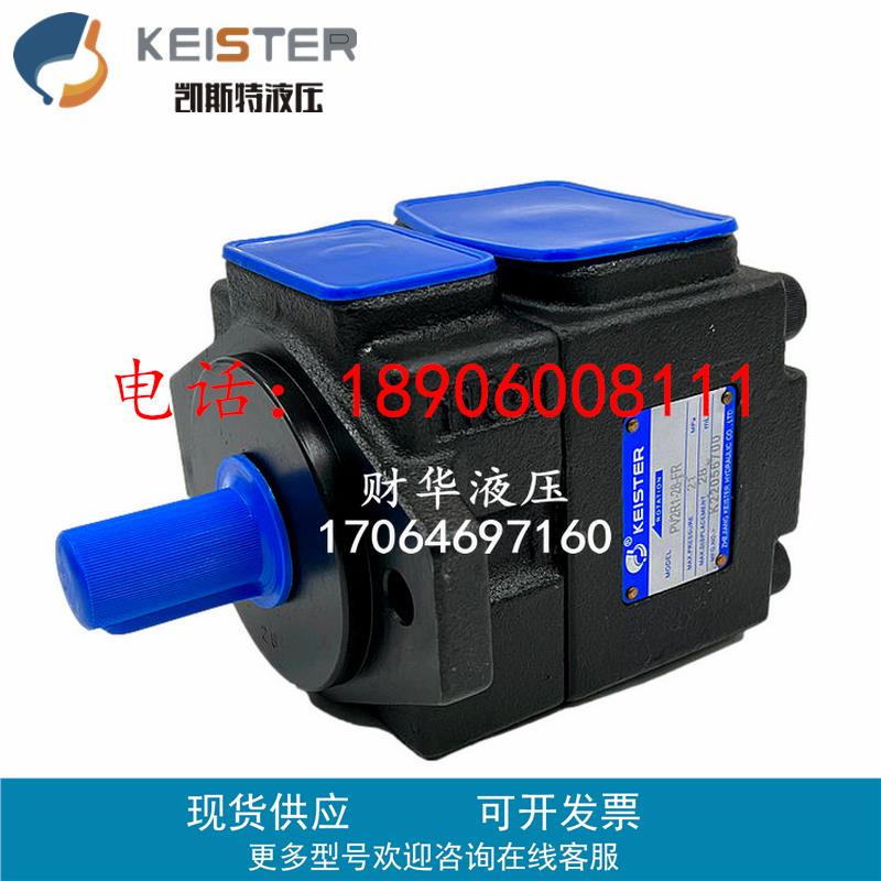凯斯特液压PV2R1-6 8 10 12 14 17 19 21 23 25 28 31-FR高压油泵