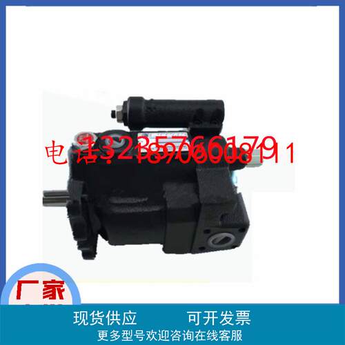 P08/P16/P22/P36/P46-A0/A1/A2/A3-F-R-01台湾FURNAN福南柱塞泵
