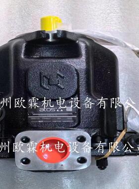 阿托斯PVPC-C-4046/1D 意大利阿托斯柱塞泵 PVPC-C-4046/1D  12