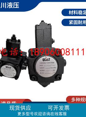 QCIST秦川VVP15B/20 VVP20B/35 VVP30B/55 VVP40B/70机床数控油泵