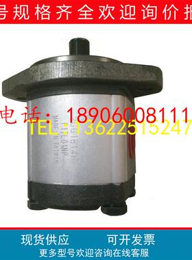 全新1GG1B02R钰盟1GG1B27R、1GG1B35R高压1GG1B04R齿轮泵1GG1B05R