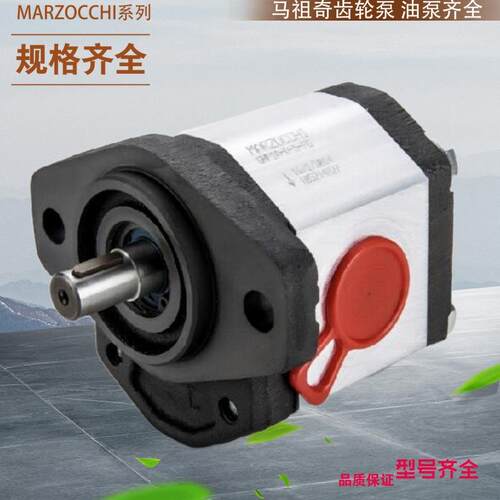 GHP2A-D-6 9 10 12 13 16 20 22 25-FG意大利MARZOCCHI高压齿轮泵