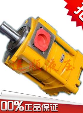 上海航发高压内啮合齿轮油泵 NB2-G16F压力32MPa