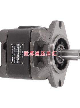 特克HYTEK齿轮泵CP0-08-P-10R/CP0-08-P-10R 注塑伺服液压泵系列