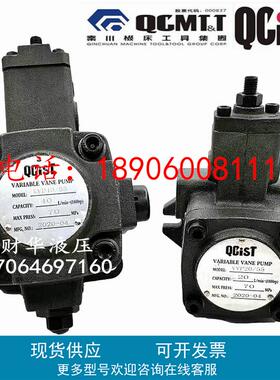 QCIST秦川VVP15B/20 VVP20B/35 VVP30B/55 机床数控油泵VVP40B/70