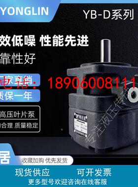 YLC仙居永灵中压油泵YBD-2.5 4 6 10 16 25 32 40 50 63 80 100