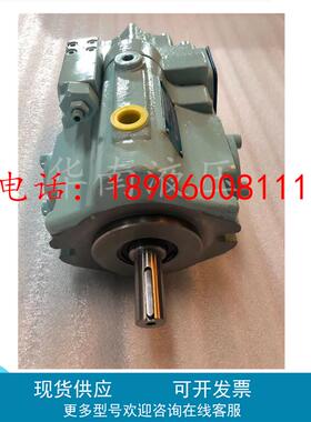 美国派克丹尼逊DENSION液压泵T6H20C 028 1R1C 2L0M0 10 质保一年