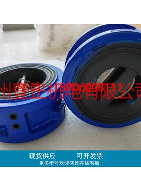 止回阀ZNGF02010101 DN50