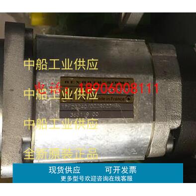 德国力士乐齿轮泵1PF20240/022RC20MBK 假一赔十
