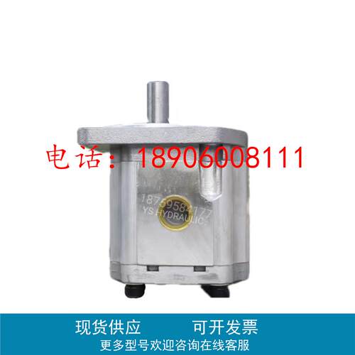CBF-F420AL 霸王齿轮泵 石材机油泵 石材机升降机油泵 南兴机械厂
