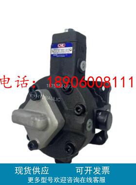 台湾全懋CML油泵VCM-SF-20A/20B/20C/20D/12D/15A/40B/30C-4CG-20