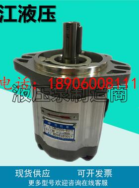长江液压CBK1012-B2FR齿轮泵1004/1006/1008/1010/1016/1020-AIFR
